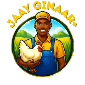 Jaay Ginaar+